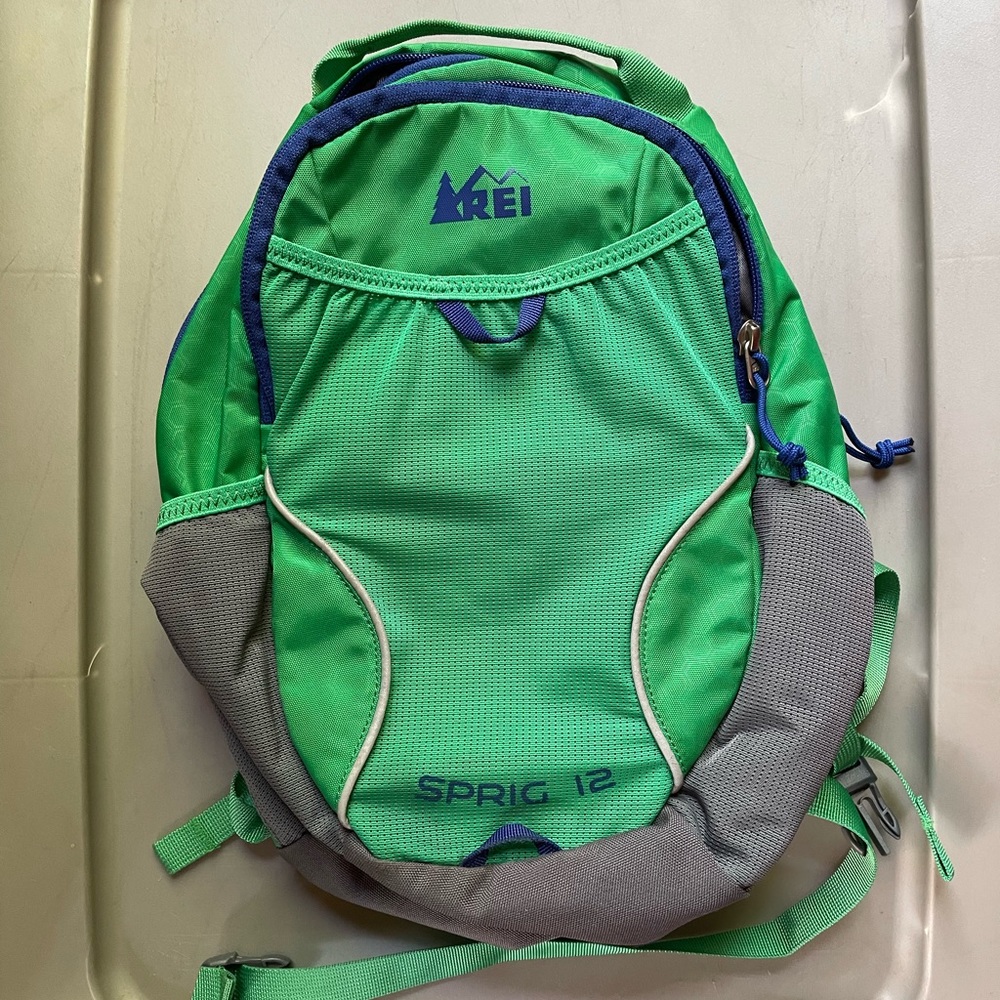REI Sprig 12 Hiking Daypack for Kids